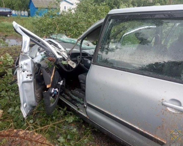 В Брестской области на двигавшийся автомобиль рухнуло дерево В Брестской области на двигавшийся автомобиль рухнуло дерево