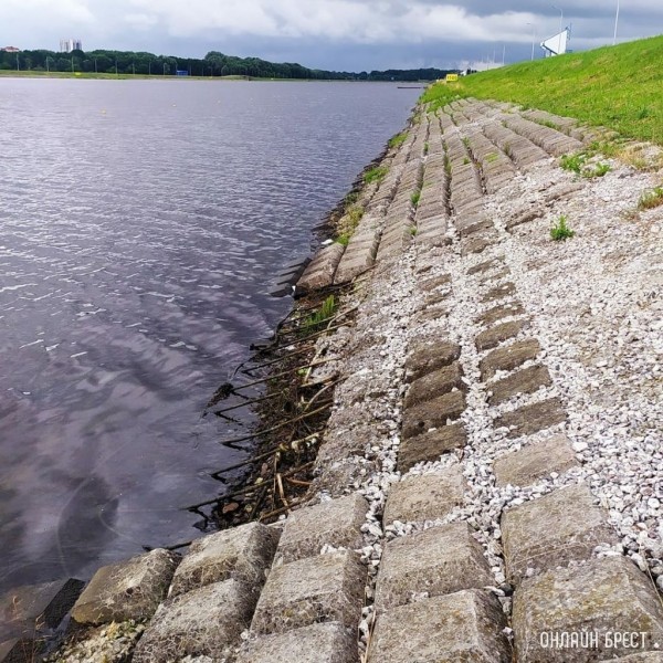 Улов жителя Бреста на Гребной канале
Улов жителя Бреста на Гребной канале