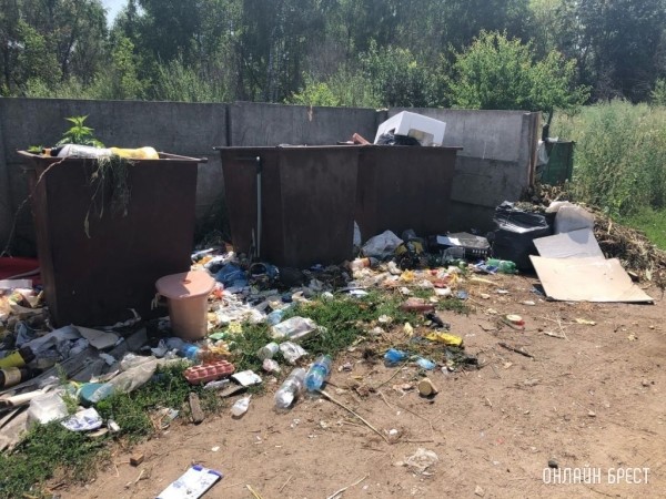 Читатель: Деревня Именин, Кобринский район. Деревня примыкает к городу. Такое происходит не редко
Читатель: Деревня Именин, Кобринский район. Деревня примыкает к городу. Такое происходит не редко