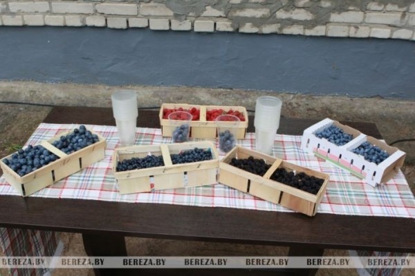 Брестская область. В д. Мошковичи прошел праздник для сельских старост