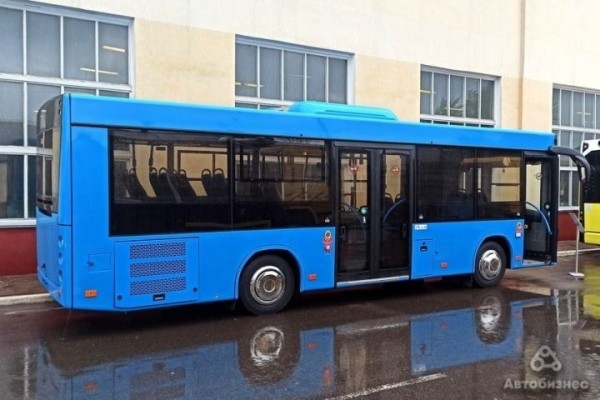 Две модели МАЗ вошли в топ-10 самых популярных автобусов в России