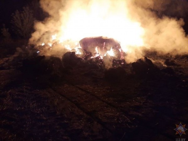 В Брестской области огнем уничтожено 24 т соломы