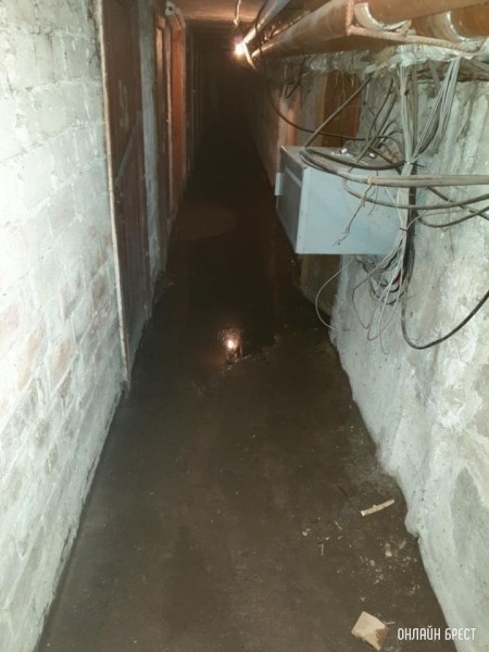 Брест, Скрипникова, 119. Подвал дома. Только воды сейчас еще больше
Брест, Скрипникова, 119. Подвал дома. Только воды сейчас еще больше