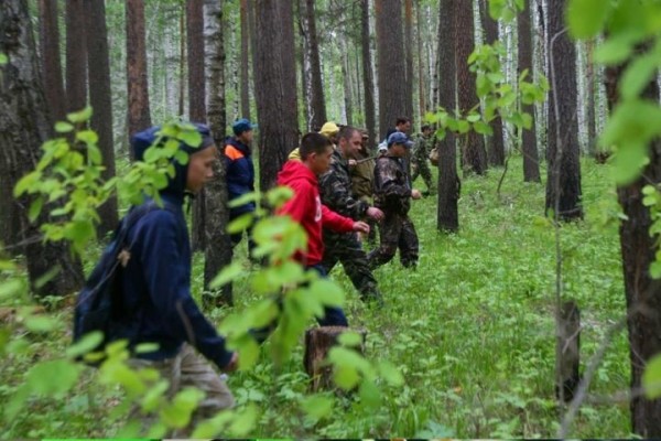 Спасатели объяснили алгоритм действий для заблудившихся в лесу Спасатели объяснили алгоритм действий для заблудившихся в лесу