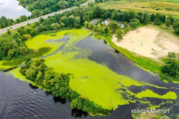 Осенний Брест
             
                Осенний Брест