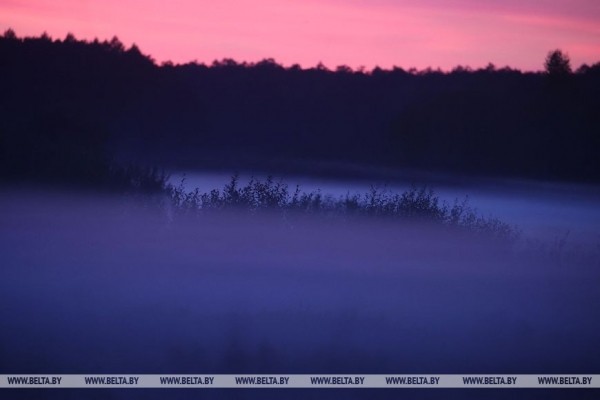 Осеннее утро в Беловежской пуще