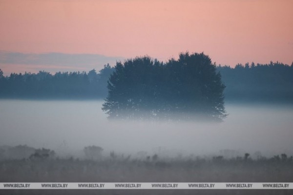 Осеннее утро в Беловежской пуще
