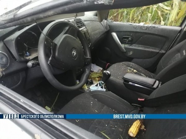 В Столинском районе 22-летняя автоледи съехала в кювет В Столинском районе 22-летняя автоледи съехала в кювет