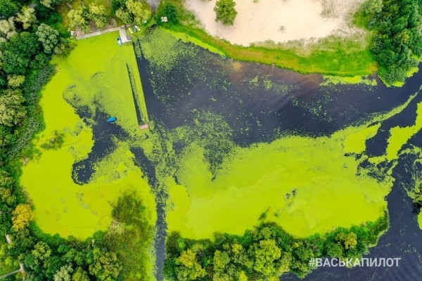Осенний Брест
             
                Осенний Брест