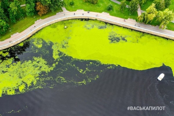 Осенний Брест
             
                Осенний Брест