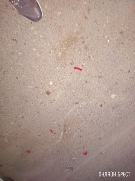 
                Читатель: В Бресте на Папанина неизвестный водитель въехал в машину и уехал с места происшествия
            