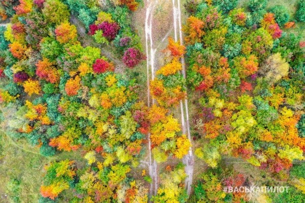 Посмотрите на осенний Брест с высоты
             
                Посмотрите на осенний Брест с высоты