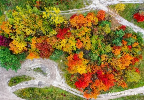 Посмотрите на осенний Брест с высоты
             
                Посмотрите на осенний Брест с высоты