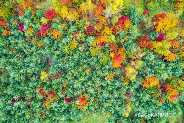 Посмотрите на осенний Брест с высоты
             
                Посмотрите на осенний Брест с высоты