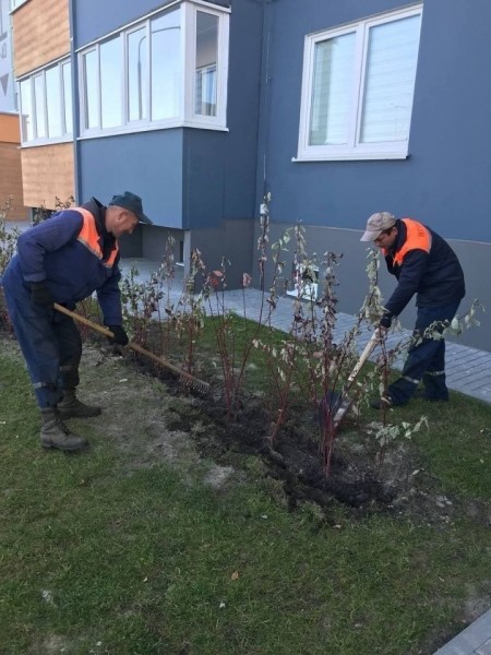 В осенний период в Бресте планируется высадить более 12 тысяч саженцев деревьев В осенний период в Бресте планируется высадить более 12 тысяч саженцев деревьев