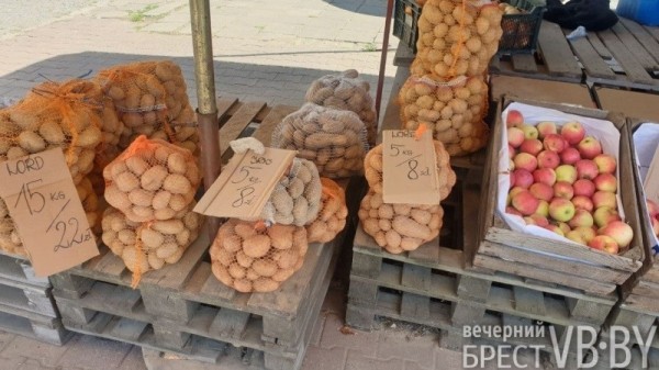 По ту сторону Буга тоже начались осенние ярмарки. Сравните цены в Бресте и Бяла-Подляске