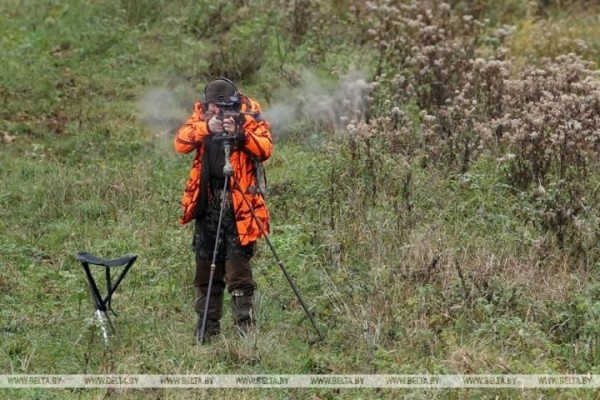 Загонная охота на копытных прошла 16 октября на территории национального парка «Беловежская пуща»