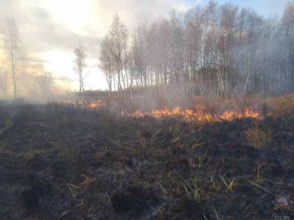 Пожары в заказниках Брестской области: один потушили, другой еще продолжает гореть