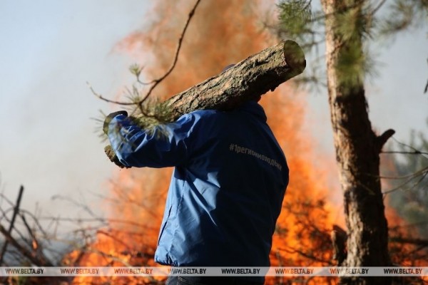 В окрестностях Бреста присоединились к акции «Чистый лес»