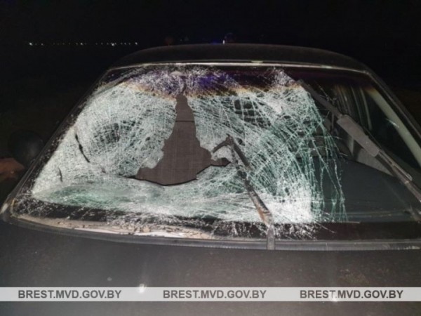 В Брестской области водитель «Киа» насмерть сбил пешехода В Брестской области водитель «Киа» насмерть сбил пешехода