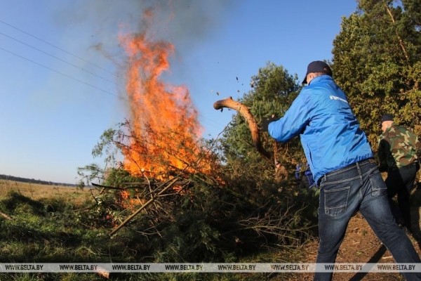 В окрестностях Бреста присоединились к акции «Чистый лес»