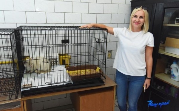 Пусть живет бездомнй кот! Как в Барановичах реализуется уникальный проект по стериализации бродячих животных