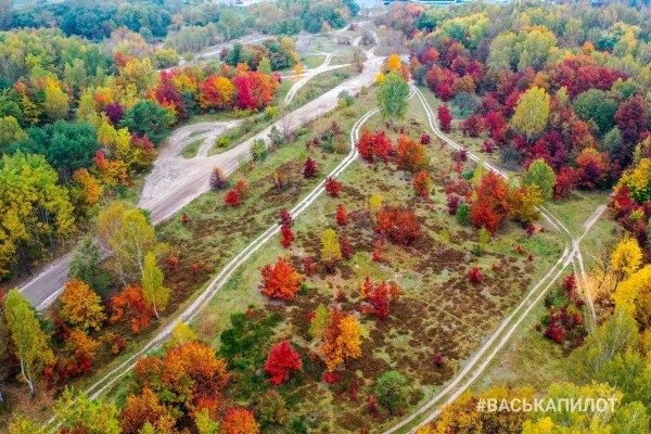 Посмотрите на осенний Брест с высоты
             
                Посмотрите на осенний Брест с высоты