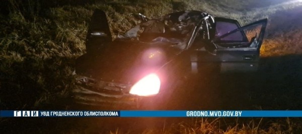 В Гродненской области Lada Priora сбила лося. Погиб 21-летний водитель