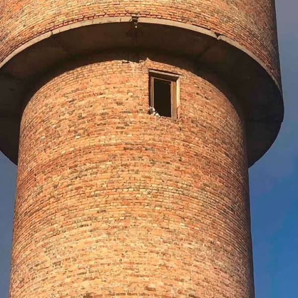 Кобринские спасатели сняли кошку с верхушки водонапорной башни, животное провело там 10 дней Кобринские спасатели сняли кошку с верхушки водонапорной башни, животное провело там 10 дней