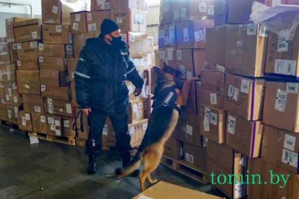 Будни Брестской таможни: как работают «Козловичи» и другие ПТО в пандемию Будни Брестской таможни: как работают «Козловичи» и другие ПТО в пандемию