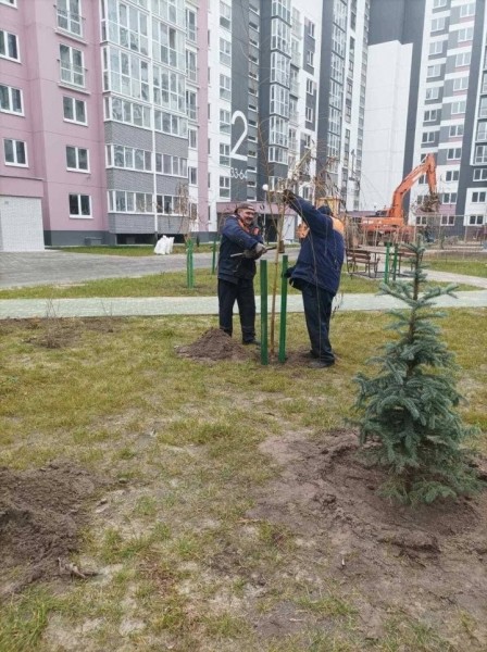 В Бресте высадили спиреи, барбарис и форзиции В Бресте высадили спиреи, барбарис и форзиции