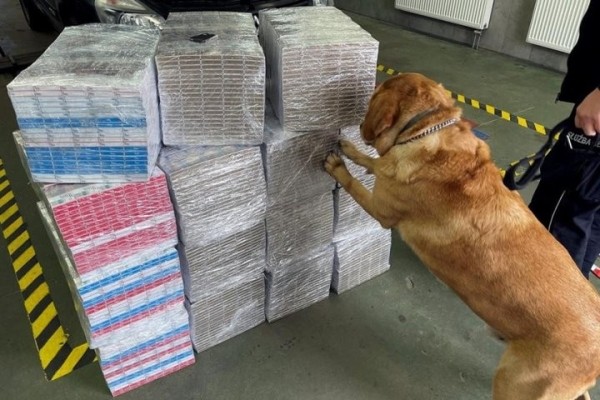 Белорус вез в Польшу 7500 пачек сигарет под полом минивена. Их нашел служебный лабрадор Белорус вез в Польшу 7500 пачек сигарет под полом минивена. Их нашел служебный лабрадор