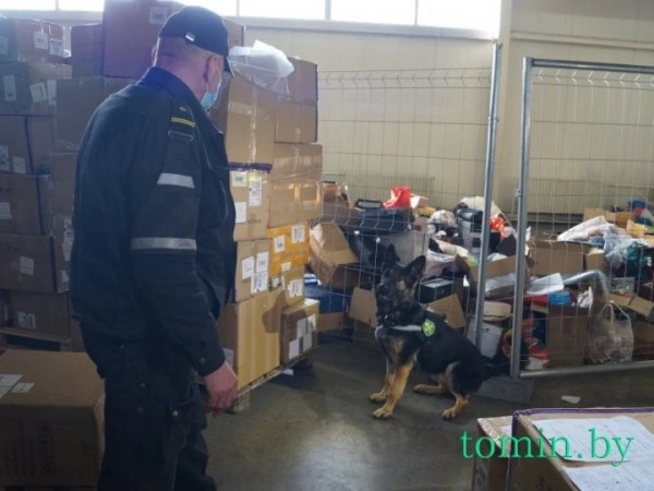 Будни Брестской таможни: как работают «Козловичи» и другие ПТО в пандемию Будни Брестской таможни: как работают «Козловичи» и другие ПТО в пандемию