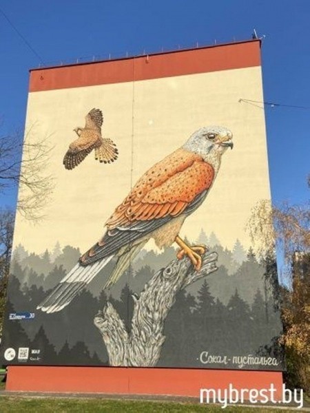 
                С недавних пор брестчанам еще больше стало нравиться отдыхать у реки Мухавец
            