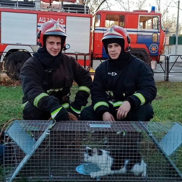 Кобринские спасатели сняли кошку с верхушки водонапорной башни, животное провело там 10 дней Кобринские спасатели сняли кошку с верхушки водонапорной башни, животное провело там 10 дней