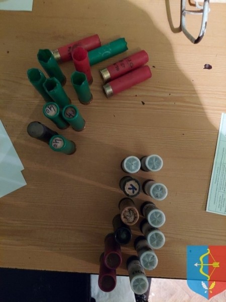 Браконьер застрелил беременную лосиху в Дрогичинском районе. Опубликованы фото Браконьер застрелил беременную лосиху в Дрогичинском районе. Опубликованы фото