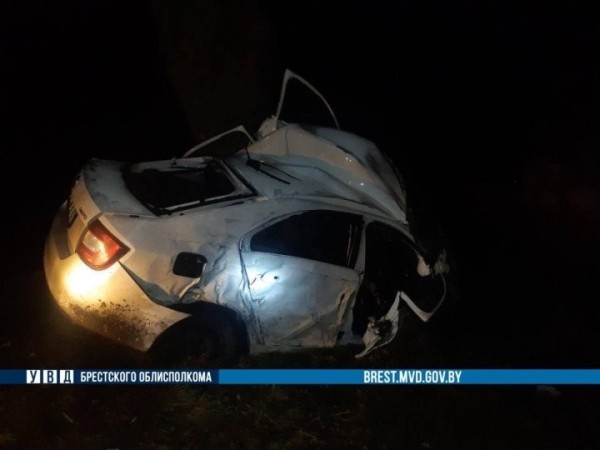 В Каменецком районе водитель легковушки врезался в дерево и погиб В Каменецком районе водитель легковушки врезался в дерево и погиб