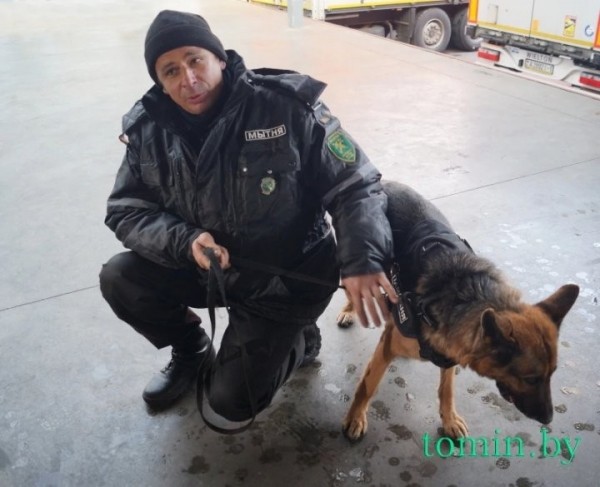 Будни Брестской таможни: как работают «Козловичи» и другие ПТО в пандемию Будни Брестской таможни: как работают «Козловичи» и другие ПТО в пандемию