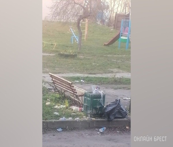 
                Читатель: Каждый вечер посиделки во дворе с пьяным ором
            