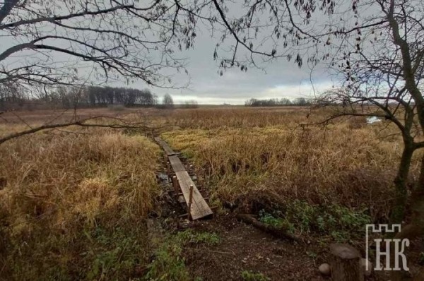 С берега и самой Пульвы не видно! В Высоком река «спряталась» в траве