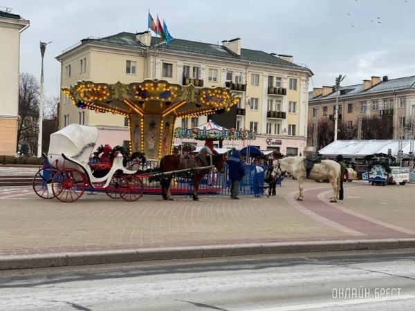 Читатель: Новогоднее настроение. Брест, пл. Ленина
             
                Читатель: Новогоднее настроение. Брест, пл. Ленина