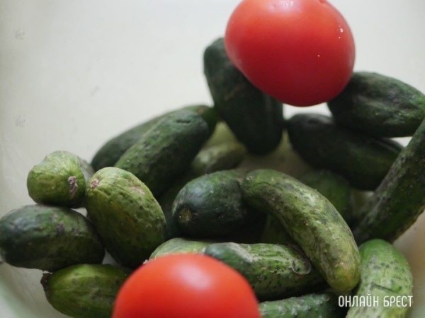 На овощах и фруктах из Толочина россиянин заработал 1 миллион белорусских рублей. Но он кое о чем забыл На овощах и фруктах из Толочина россиянин заработал 1 миллион белорусских рублей. Но он кое о чем забыл