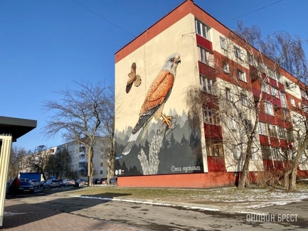 Читатель: Как красиво! Мурал с соколом-пустельгой на Набережной Франциска Скорины в Бресте
             
                Читатель: Как красиво! Мурал с соколом-пустельгой на Набережной Франциска Скорины в Бресте