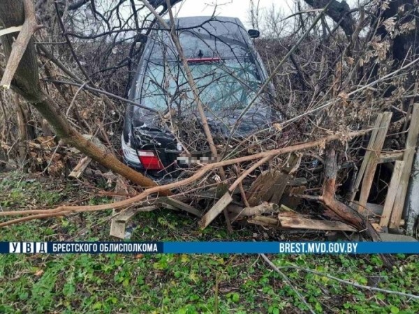 В Бресте автоледи перепутала педали газа и тормоза