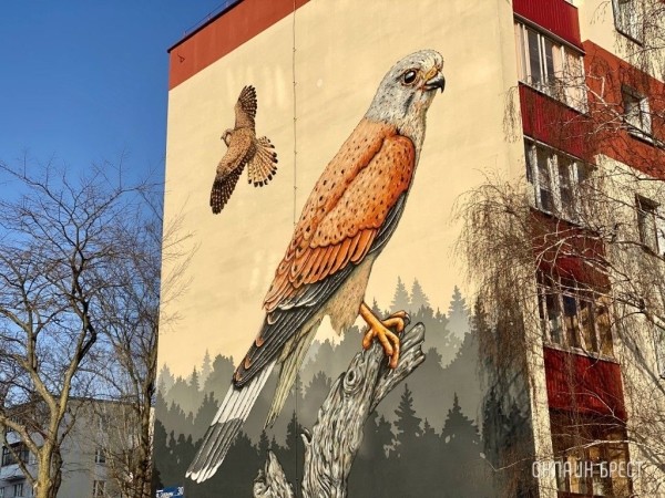Читатель: Как красиво! Мурал с соколом-пустельгой на Набережной Франциска Скорины в Бресте
             
                Читатель: Как красиво! Мурал с соколом-пустельгой на Набережной Франциска Скорины в Бресте