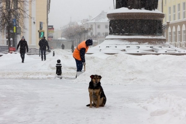 Синоптики рассказали, когда в Беларуси потеплеет