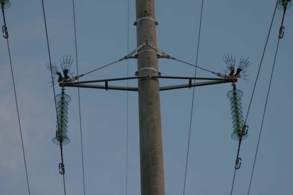 Напряжение превышает 1 000 В. Какие работы нельзя выполнять вблизи линий электропередачи Напряжение превышает 1 000 В. Какие работы нельзя выполнять вблизи линий электропередачи