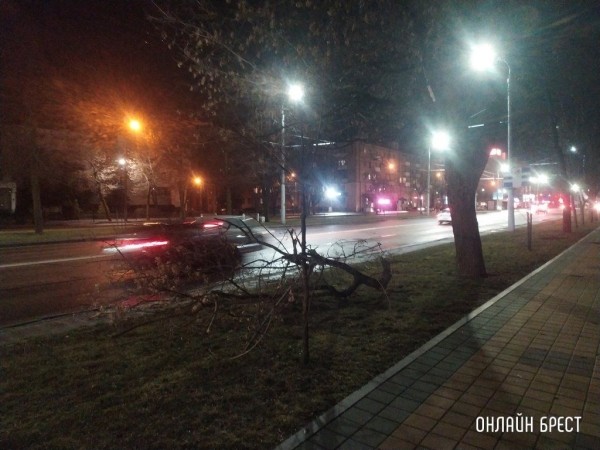 Читатель: В Бресте на Я.Купалы дерево упало в сторону дома. Вот ещё сегодняшние последствия сильного ветра
Читатель: В Бресте на Я.Купалы дерево упало в сторону дома. Вот ещё сегодняшние последствия сильного ветра