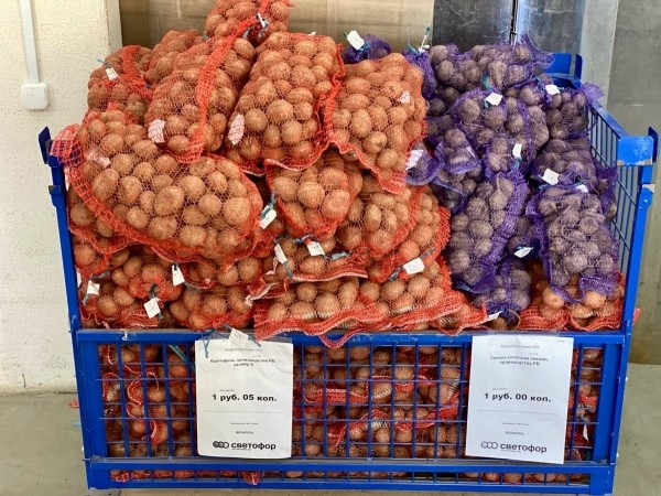 «Светофор» на Приграничной пополнился новыми сезонными товарами и приглашает всех за покупками «Светофор» на Приграничной пополнился новыми сезонными товарами и приглашает всех за покупками