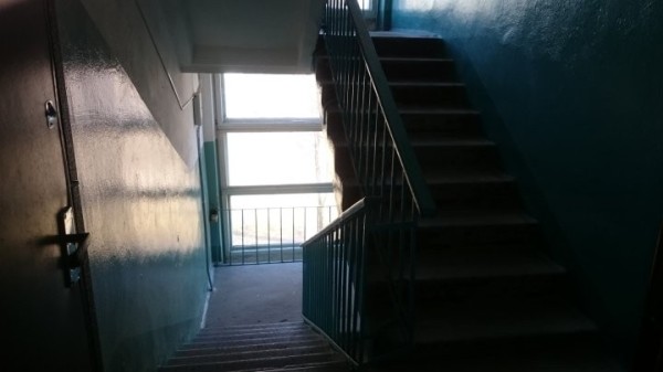«Ваш кот слишком громко топает». Сняли квартиру в многоэтажке, а соседка оказалась очень чувствительной «Ваш кот слишком громко топает». Сняли квартиру в многоэтажке, а соседка оказалась очень чувствительной